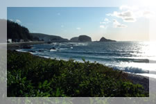 �m���̕��i